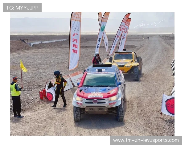拉力赛中国选手表现优异，赢得多项名次，拉力赛中国车队